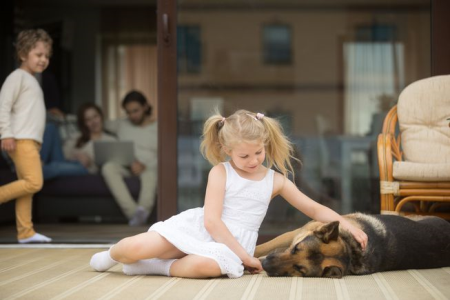 Il tuo amore per gli animali potrebbe essere nel tuo DNA!
