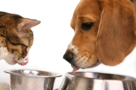 Alimenti e animali domestici