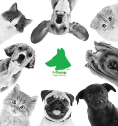 Pensi di amare troppo il tuo animale domestico?