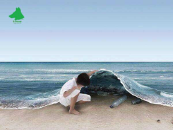 Le specie marine e la plastica