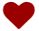 immagine del cuore