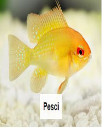 PESCI