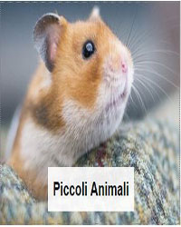 PICCOLI ANIMALI